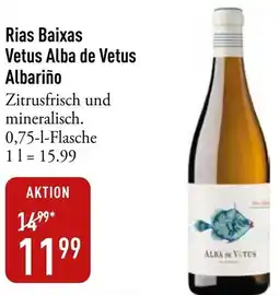 Galeria Markthalle Rias Baixas Vetus Alba de Vetus Albariño Angebot