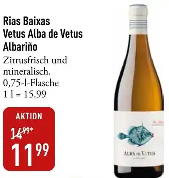 Galeria Markthalle Rias Baixas Vetus Alba de Vetus Albariño Angebot