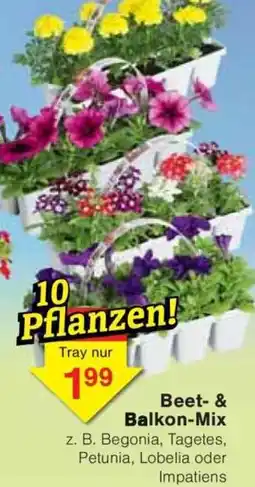 Jawoll Beet & Balkon-Mix Angebot