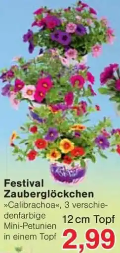 Jawoll Festival Zauberglöckchen Angebot