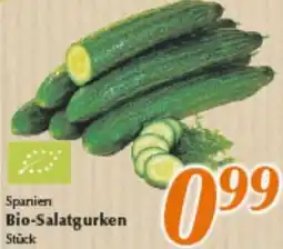 inkoop Spanien Bio-Salatgurken Angebot