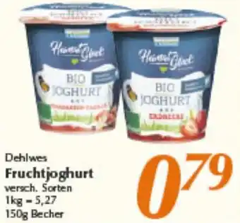 inkoop Dehlwes Fruchtjoghurt Angebot
