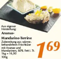 inkoop Ananas Mandarine-Terrine Angebot