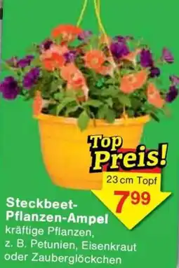 Jawoll Steckbeet Pflanzen-Ampel Angebot