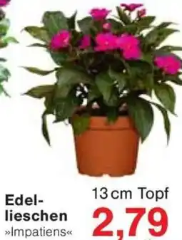 Jawoll Edellieschen Angebot