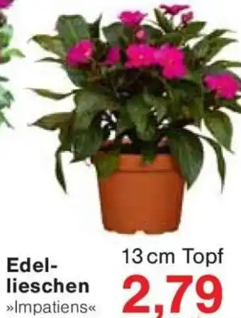 Jawoll Edellieschen Angebot