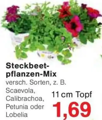 Jawoll Steckbeetpflanzen-Mix Angebot