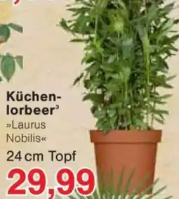 Jawoll Küchenlorbeer Angebot