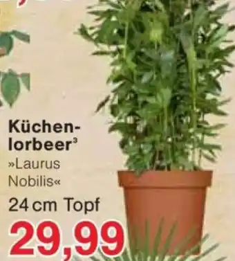 Jawoll Küchenlorbeer Angebot
