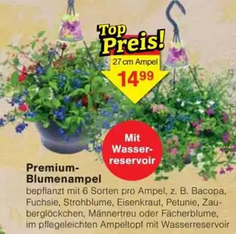 Jawoll Premium Blumenampel Angebot