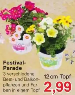 Jawoll Festival Parade Angebot