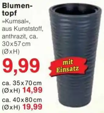 Jawoll Blumentopf Angebot