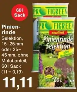 Jawoll Pinienrinde Angebot