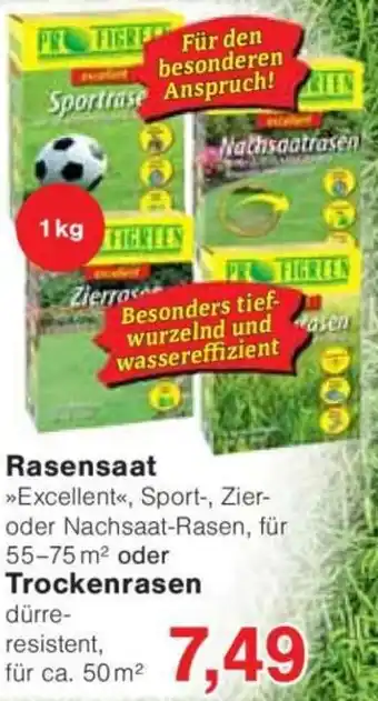 Jawoll Rasensaat oder Trockenrasen Angebot