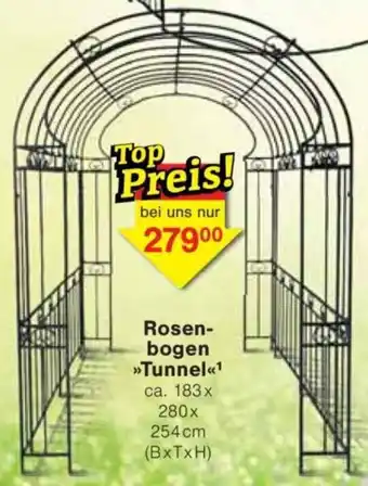 Jawoll Rosenbogen Tunnel Angebot