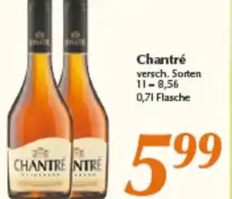 inkoop Chantré Angebot