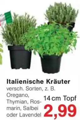 Jawoll Italienische Kräuter Angebot