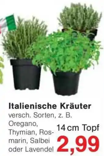 Jawoll Italienische Kräuter Angebot
