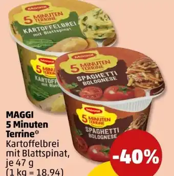 PENNY Maggi 5 Minuten Terrine Spaghetti Bolognese Angebot