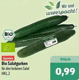 Aktiv Irma Bio Salatgurken Angebot