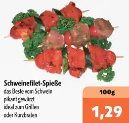 Aktiv Irma Schweinefilet-Spieße Angebot