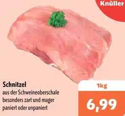 Aktiv Irma Schnitzel Angebot