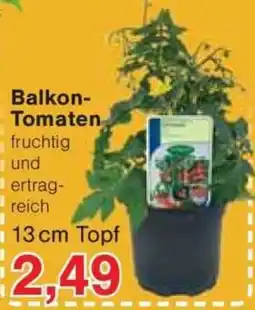 Jawoll Balkon Tomaten Angebot