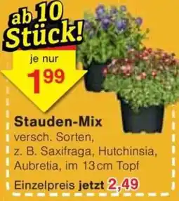 Jawoll Stauden-Mix Angebot