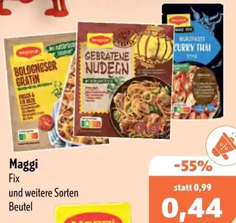 Aktiv Irma Maggi Fix Angebot