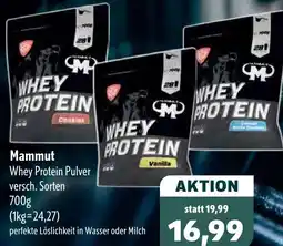Aktiv Irma Mammut Whey Protein Pulver Angebot
