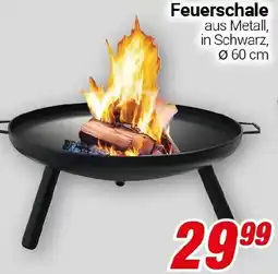 CENTERSHOP Feuerschale Angebot