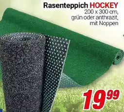 CENTERSHOP Rasenteppich HOCKEY Angebot
