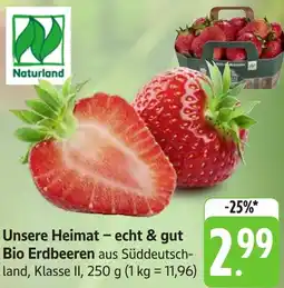 Gebauer's Unsere Heimat - echt & gut Bio Erdbeeren Angebot