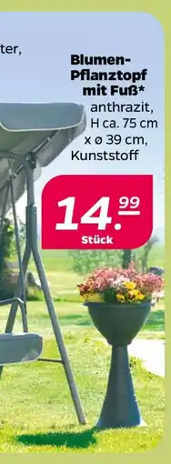 NETTO Blumen-Pflanztopf mit Fuß Angebot