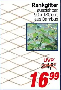 CENTERSHOP Rankgitter Angebot