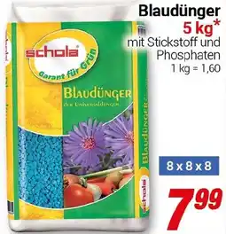 CENTERSHOP Schola Blaudünger Angebot