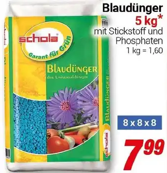 CENTERSHOP Schola Blaudünger Angebot