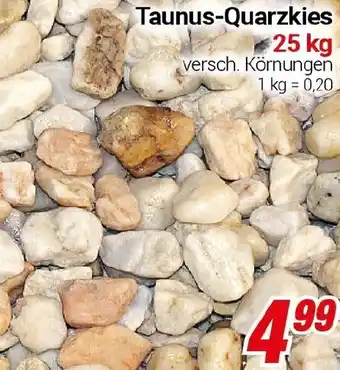 CENTERSHOP Taunus-Quarzkies Angebot