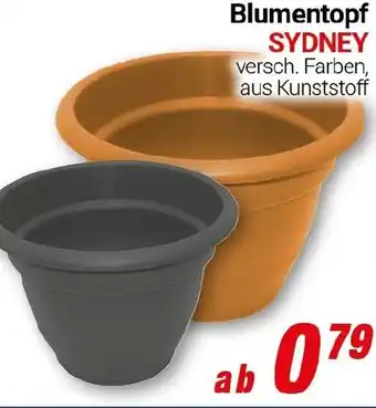 CENTERSHOP Blumentopf SYDNEY Angebot