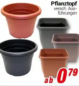 CENTERSHOP Pflanztopf Angebot