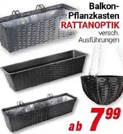 CENTERSHOP Balkon Pflanzkasten RATTANOPTIK Angebot