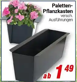 CENTERSHOP Paletten Pflanzkasten Angebot