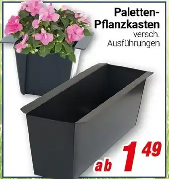 CENTERSHOP Paletten Pflanzkasten Angebot