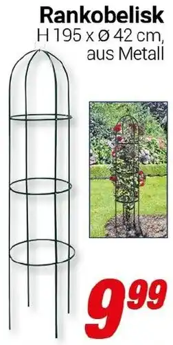 CENTERSHOP Rankobelisk Angebot