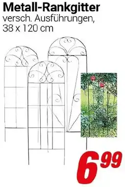 CENTERSHOP Metall-Rankgitter Angebot