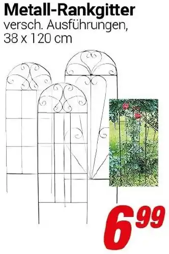 CENTERSHOP Metall-Rankgitter Angebot