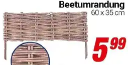 CENTERSHOP Beetumrandung Angebot