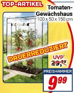 CENTERSHOP Tomaten Gewächshaus Angebot