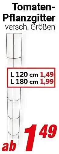 CENTERSHOP Tomaten Pflanzgitter Angebot