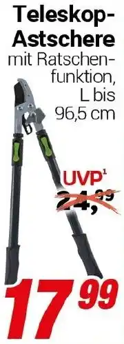 CENTERSHOP Teleskop Astschere Angebot